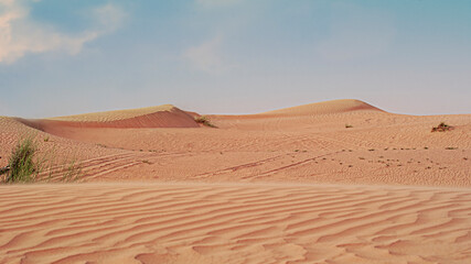 Fototapeta na wymiar Desert landscape. Beautiful wavy sands and dunes.