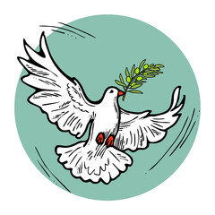 Dove of peace flying with green olive branch. White pigeon is holly spirit, love, freedom. Bird and plant are nature elements. Hand drawn retro vintage illustration. Old style comic cartoon drawing. 