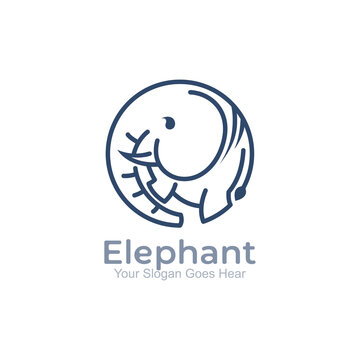 elephant logo with line and circle style, simple logos