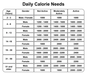 Foto op Plexiglas Daily Calories Needs. Daily Calories chart. Colorful Symbols. Vector illustration. © Ali