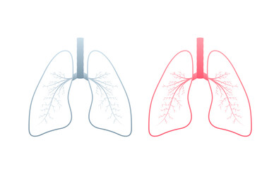 Lungs, great design for any purposes. Cartoon illustration. Simple vector illustration