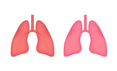 Lungs, great design for any purposes. Cartoon illustration. Simple vector illustration