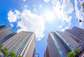 東京風景 2022　ウルトラワイド 初夏の太陽と高層ビル群
