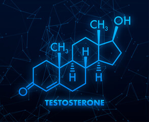 Testosterone formula. Vector thin line icon of testosterone molecular structure - obrazy, fototapety, plakaty