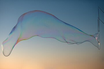 Flying soap bubbles on sky blue background at sunset.