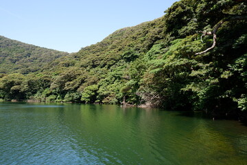 Fototapeta na wymiar 三宅島（Miyake Island）　大路池（Tairo-ike）