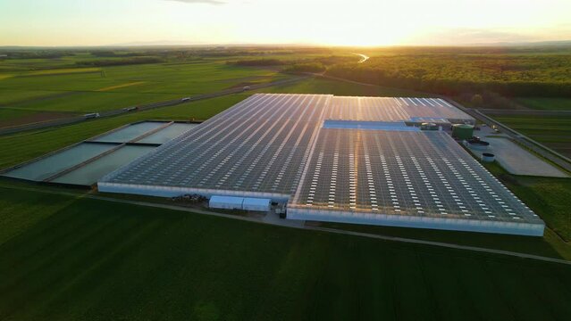 AERIAL: Hydroponic greenhouse for indoor vegetable production in golden light. Glasshouse building with water accumulators for weather independent organic food production. Modern farming plant nursery