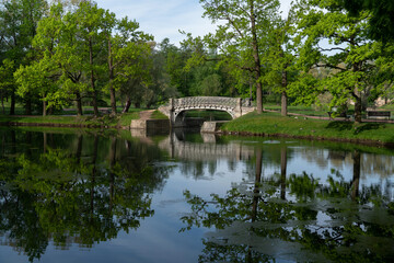 Fototapeta premium View of the cast-iron openwork bridge across the water maze channel near the White Lake in the Gatchina Palace and Park Complex on a sunny summer morning, Gatchina, St. Petersburg, Russia