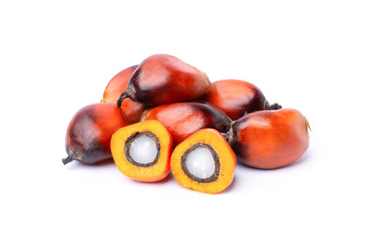 Pile of oil palm fruit and cut in half sliced isolated on white background.
