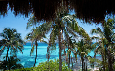Palm trees against the sea during a summer day in Isla Mujeres, Mexico