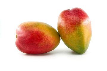 Multicolored mango fruits isolated on a white