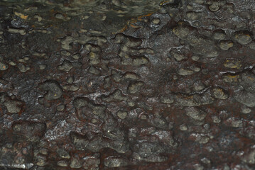 Iron Meteorite Manlay found in Mongolia closeup 