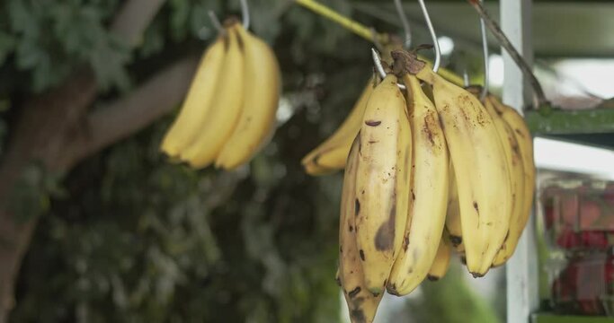 Banana hanging from hook 4k