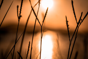 Abstract real objets (beach)