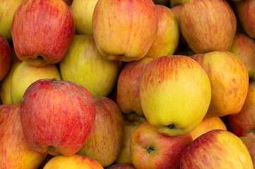 Apples, Malus domestica, an edible fruit produced by an apple tree, are displayed for sale at New Market area, Kolkata, West Bengal, India.