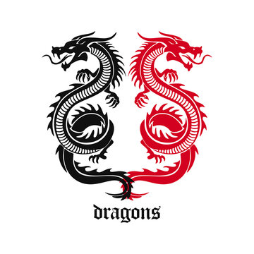 vector illustration of two twin dragons