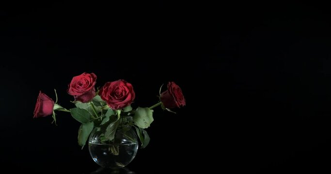 Fresh flowers in vase. An aromatic bouquet of red roses spinning in glass vase in the dark.