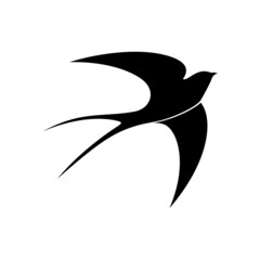 swallow bird logo - obrazy, fototapety, plakaty