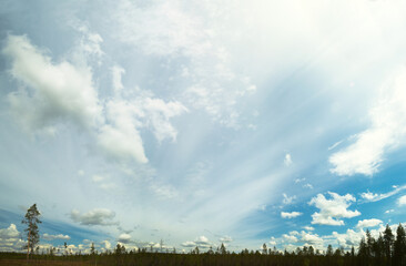 Fototapeta na wymiar Wide angle shot of cloudscape over forest