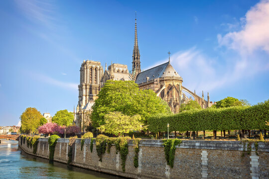 View of Cathedral Notre Dame de Paris on a sunny day. Copy space in sky.