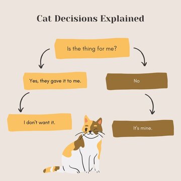 Gold & Yellow Funny Cat Decision Tree Instagram Post