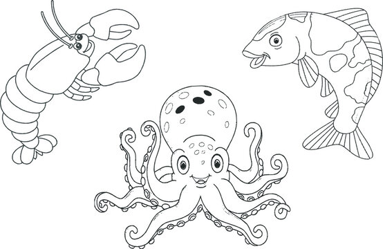 illustration of octopus fish drawing