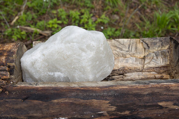 Salt for wild animals lies in a wooden trough.