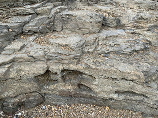 the texture of a stone on the seashore