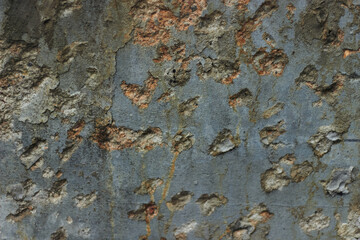 Texture of old gray blue and brown concrete wall for background