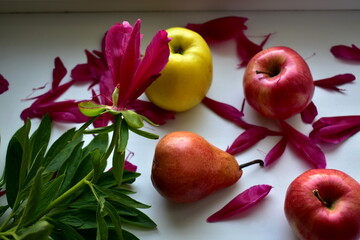 top view of fruits with peony petals falling on them