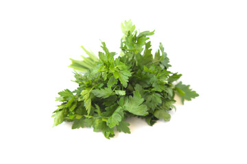 green bunch of parsley on a white background