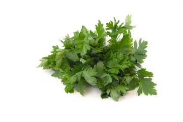 green bunch of parsley on a white background