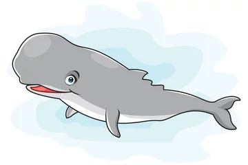 Store enrouleur Baleine Whale sperm cartoon. vector illustration