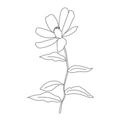 Coloring book. Hand drawn. Black and white. children. Flowers.