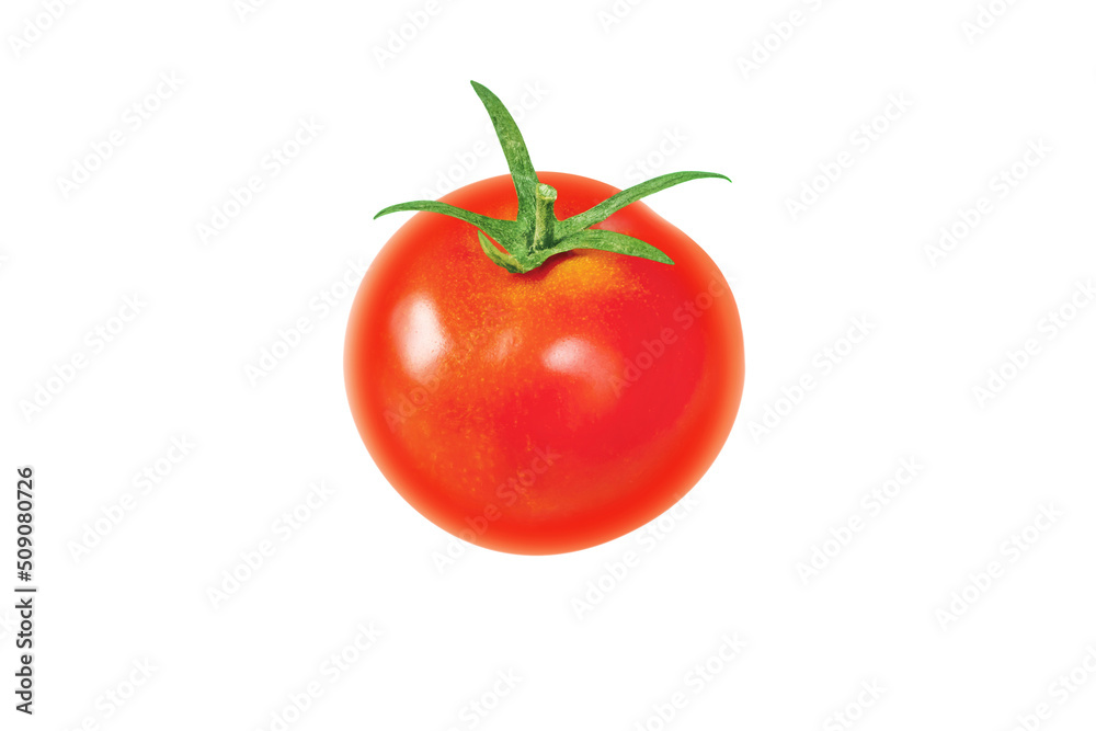 Wall mural single red tomato vegetable isolated on white