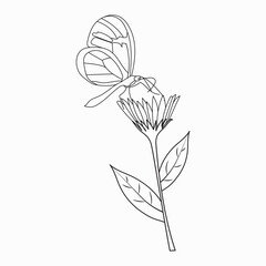 Coloring book. Hand drawn. Black and white. children. Flowers.