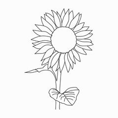 Coloring book. Hand drawn. Black and white. children. Flowers.