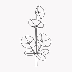 Coloring book. Hand drawn. Black and white. children. Flowers.