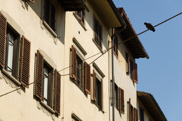 Fototapeta na wymiar Facades with wooden window shutters in Florence, Italy