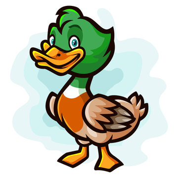 Duck cartoon isolated on white background. Vector illustration 