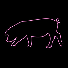 Neon pink pig silhouette thin line icon for logo design. Vector illustration of a pig mascot isolated on a black background.