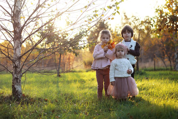 Fototapeta premium Young family on a walk in the autumn park on a sunny day. Happiness to be together.