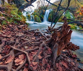 Extraordinary autumn view of pure water waterfall in Plitvice National Park. Attractive summer scene of Croatia, Europe. Beauty of nature concept background.