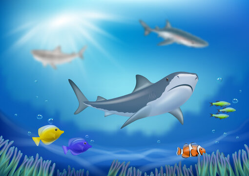Underwater background. With fishes swimming underwater in ocean or sea decent vector shark in realistic style