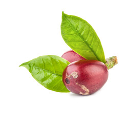 Red coffee beans isolated on white background