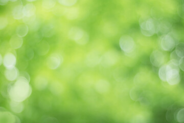 Nature blurred Green Spring Background