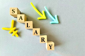 給料が減るイメージ　SALARY