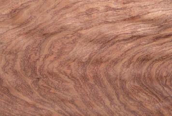Wood texture background. Wooden texture for design and decoration