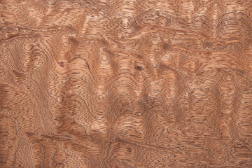 Wood texture background. Wooden texture for design and decoration