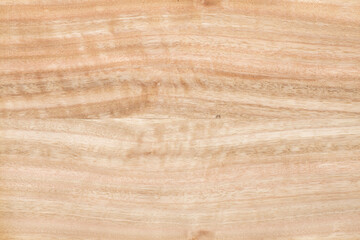 Wood texture background. Wooden texture for design and decoration